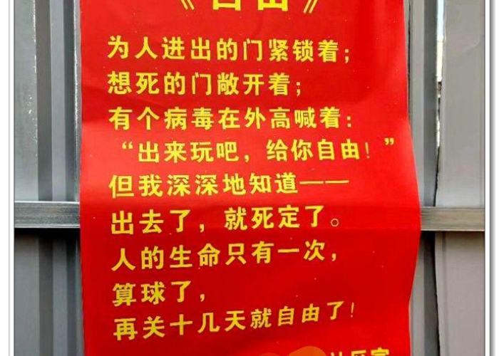 疫情全球排行榜最新，全球抗疫成效与未来展望