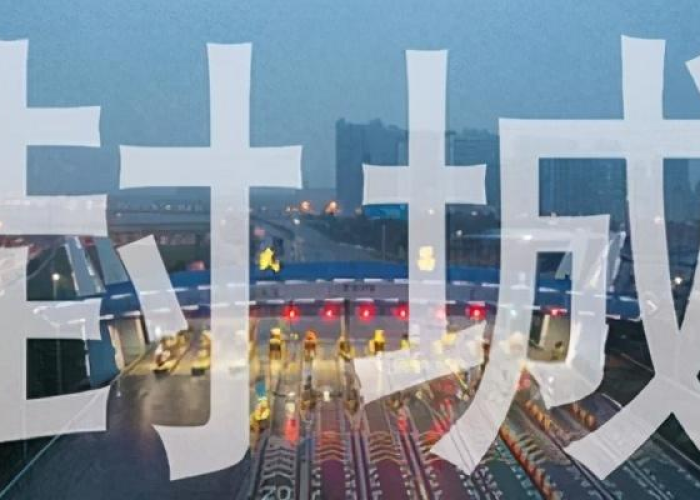 2021全球疫情排行榜，最新数据与趋势分析