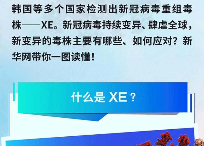 疫情起源探析，追溯全球新冠疫情的起始时刻