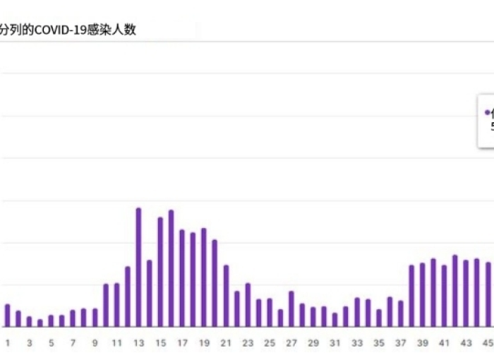 疫情何时全面开放？预测与准备