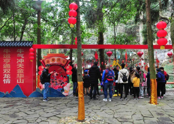 成都疫情最新动态，防控措施升级，市民生活有序进行
