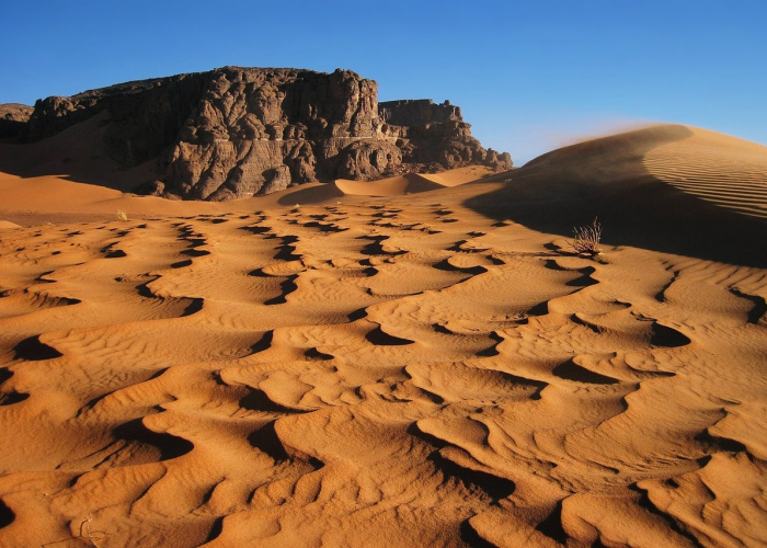 科学精准防控,福建动态调整中高风险区 科学精准防控,福建动态调整中高风险区