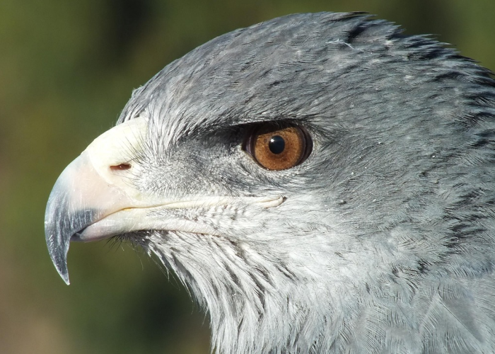 【重大消息】“杭州都莱有没有挂”(开挂提高胜率)-知乎