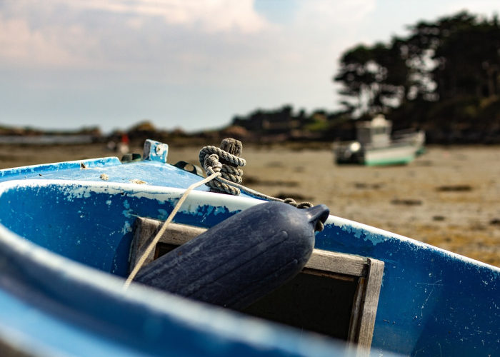 全国实时疫情最新消息，精准防控下的动态与应对