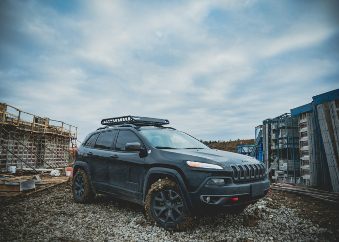 荷兰确诊病例情况，数字背后的社会韧性