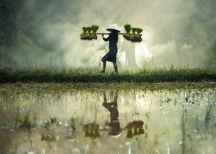 【玩家必看实操】“打哈儿麻将真的有开挂软件”(千真万确有挂)-知乎