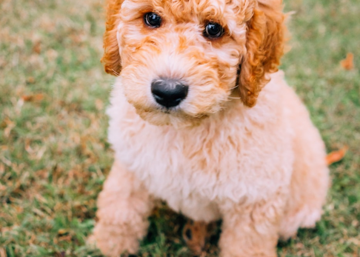 大神推荐“中至九江麻将有没有挂”(千真万确有挂)-知乎