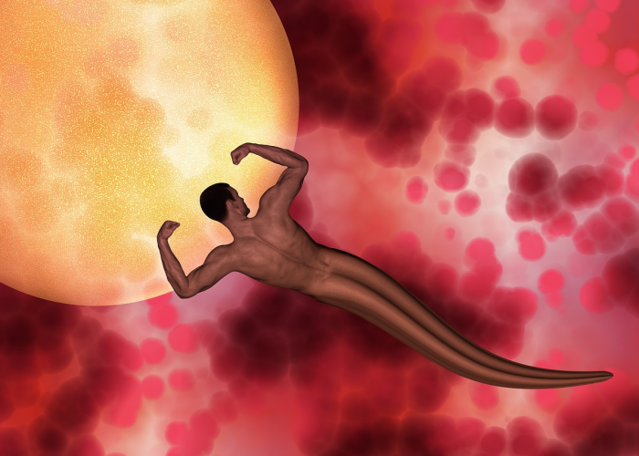 我来告诉大家空谷幽兰开挂辅助神器”(辅助开挂教程)-知乎 我来告诉大家空谷幽兰开挂辅助神器”(辅助开挂教程)-知乎