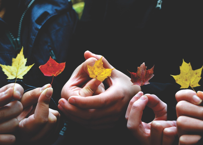 【玩家必看实操】“打哈儿麻将真的有开挂软件”(千真万确有挂)-知乎