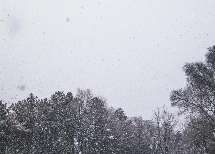 【玩家必看实操】“牛财神透视开挂神器”(真实可以装挂)-知乎