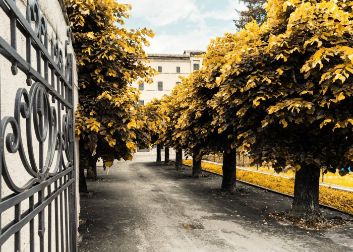 【玩家必看实操】“哥哥跑得快透视软件挂”(开挂提高胜率)-知乎 【玩家必看实操】“哥哥跑得快透视软件挂”(开挂提高胜率)-知乎