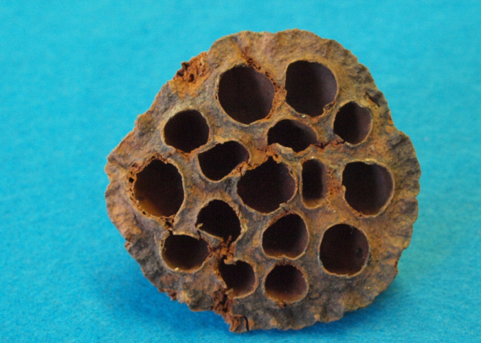 【重大消息】“皇豪互娱开挂透视软件”(其实确实有挂)-知乎 【重大消息】“皇豪互娱开挂透视软件”(其实确实有挂)-知乎