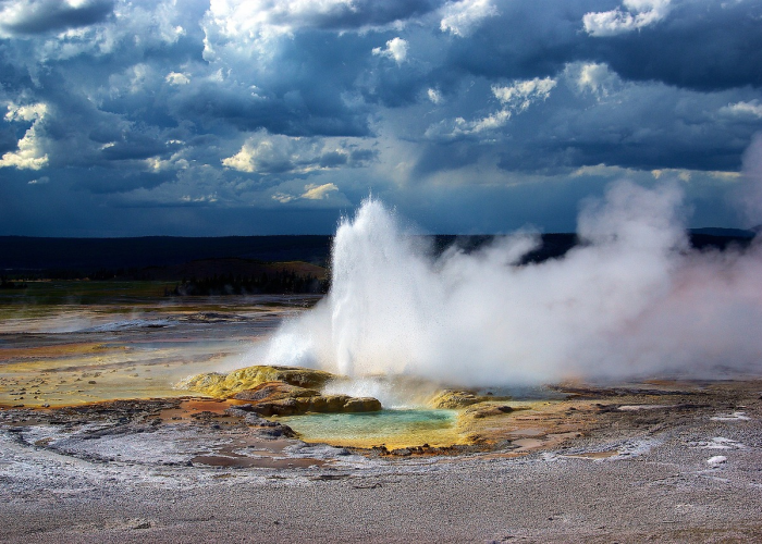 沈阳怪坡虎园,是猎奇打卡地,还是真的好玩? 沈阳怪坡虎园,是猎奇打卡地,还是真的好玩?