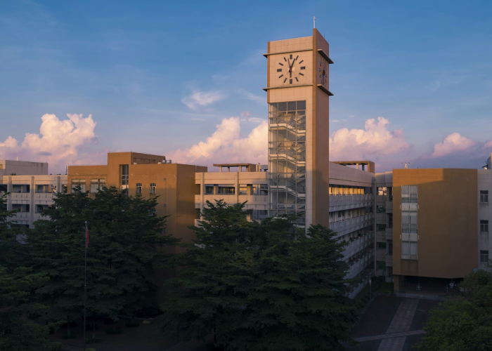 十大分享“吉祥七公有没有透视辅助”(千真万确有挂)-知乎