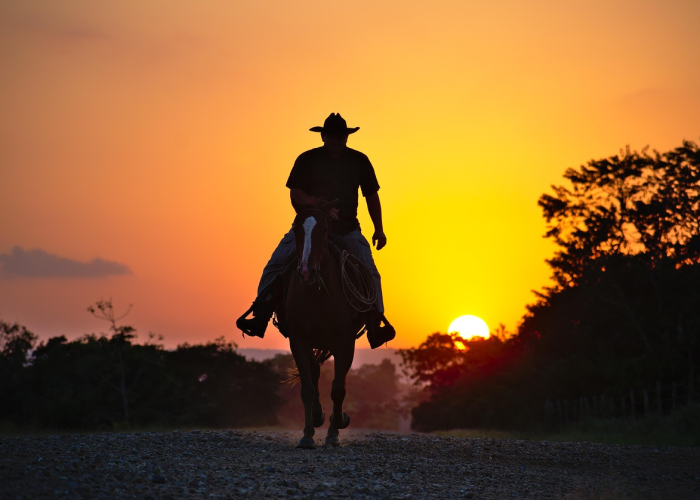 元旦不调休,当小长假回归本真,我们如何重拾节日初心? 元旦不调休,当小长假回归本真,我们如何重拾节日初心?