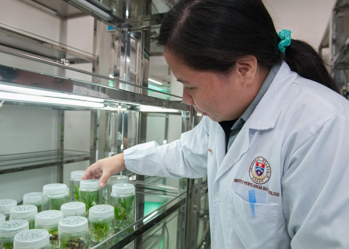 广东新增5例本土确诊病例，防控措施持续加强