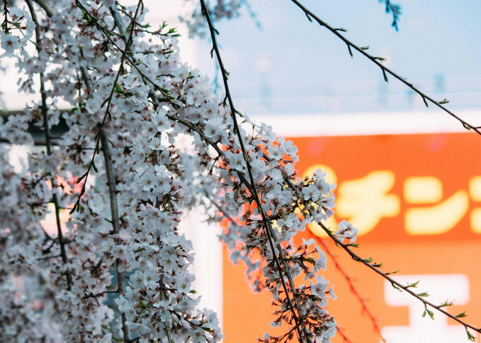 玩家必看“新悟空能怎么开挂”(千真万确有挂)-知乎 玩家必看“新悟空能怎么开挂”(千真万确有挂)-知乎