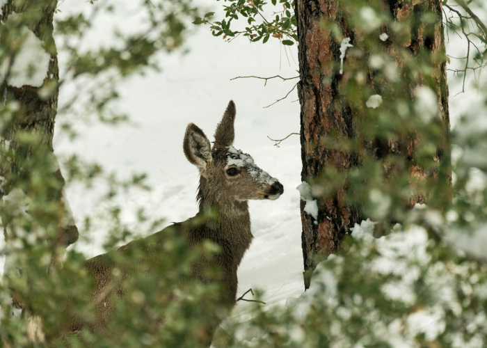 「重大消息」“欢乐途游麻将开挂辅助教程”(内幕太坑人了)-知乎