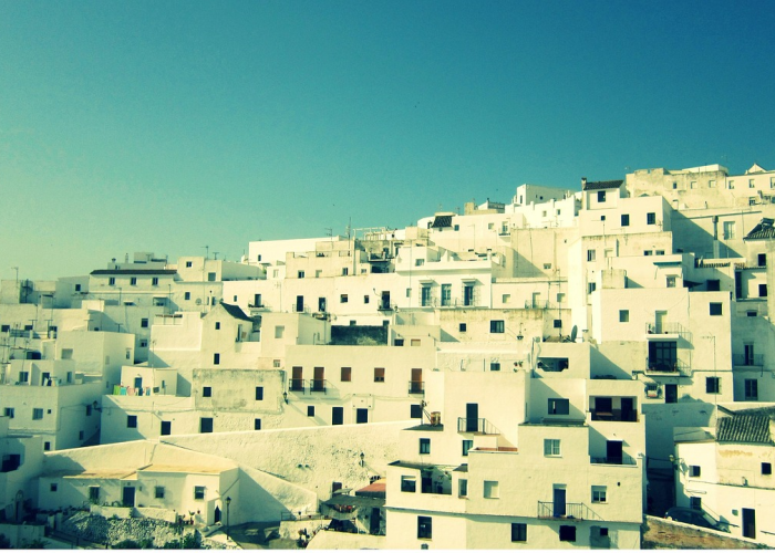 玩家必看“广西老友麻将透视开挂神器”(其实确实有挂)-知乎 玩家必看“广西老友麻将透视开挂神器”(其实确实有挂)-知乎