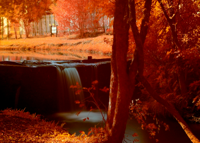 秋入江南画图中,十月份江浙沪寻幽指南 秋入江南画图中,十月份江浙沪寻幽指南