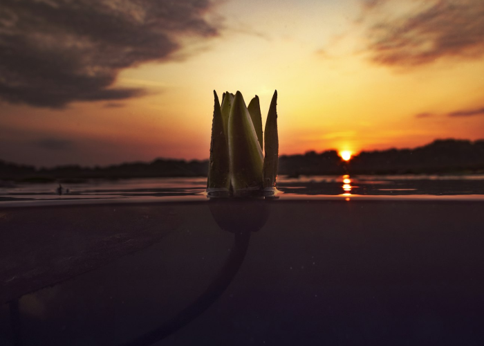 从黄浦江到自由女神,上海出发赴美旅游费用全解析与省钱攻略 从黄浦江到自由女神,上海出发赴美旅游费用全解析与省钱攻略