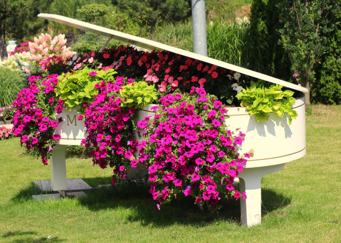 哈尔滨的小区,在封闭中等待春天 哈尔滨的小区,在封闭中等待春天