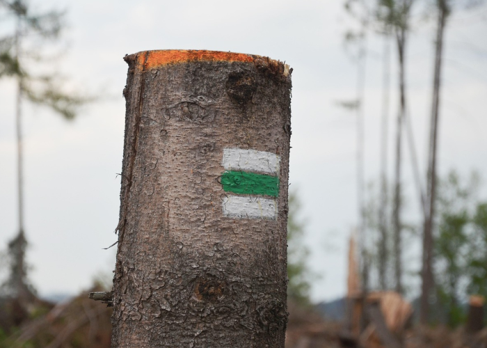 成都疫情最新进展，今日新增本土确诊病例5例，防控措施持续优化