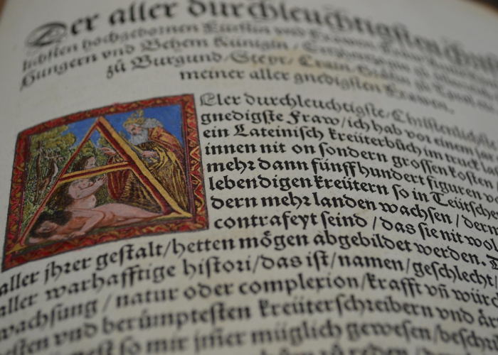 大神爆料“扎西茶楼真的有开挂软件”(其实确实有挂)-知乎