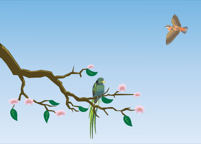 玩家分享攻略“粤麻圈怎么可以开挂”(真实可以装挂)-知乎