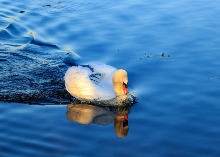 让梦飞翔舞蹈,在脚尖与云端之间 让梦飞翔舞蹈,在脚尖与云端之间