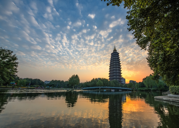 防疫出行政策调整,迈向常态化防控的平衡之道 防疫出行政策调整,迈向常态化防控的平衡之道