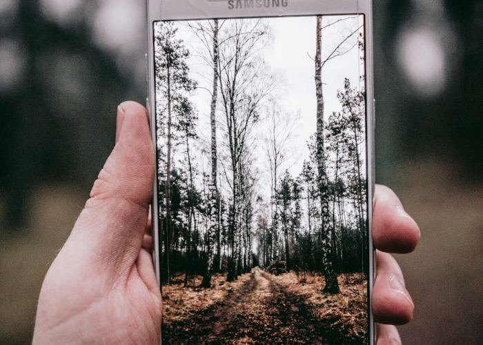 实测普及“12人拼三张透视挂真的假的”(开挂透视教程)-知乎
