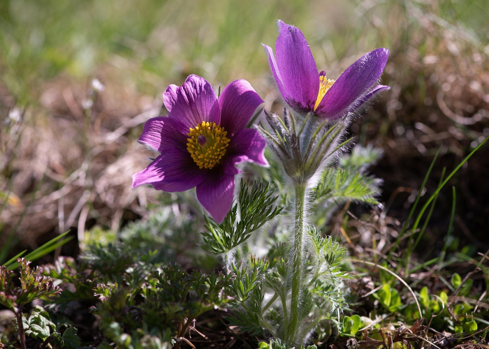 独家发现“新人皇有没有透视开挂”(开挂提高胜率)-知乎 独家发现“新人皇有没有透视开挂”(开挂提高胜率)-知乎
