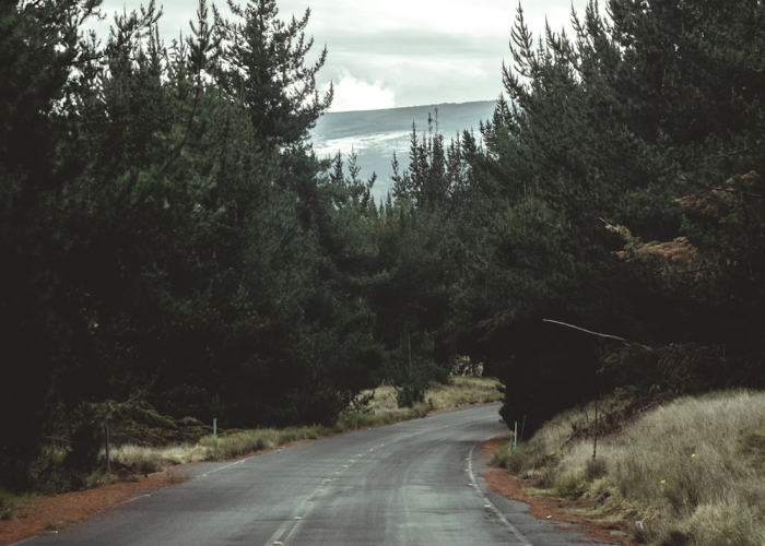 高速公路免费通行,为何偏偏是这几个节假日? 高速公路免费通行,为何偏偏是这几个节假日?