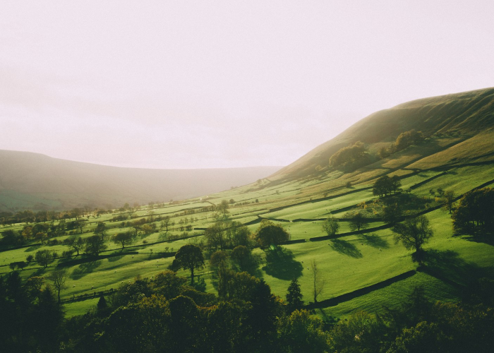 今日重大消息“微微娱乐到底怎么开挂”(其实确实有挂)-知乎