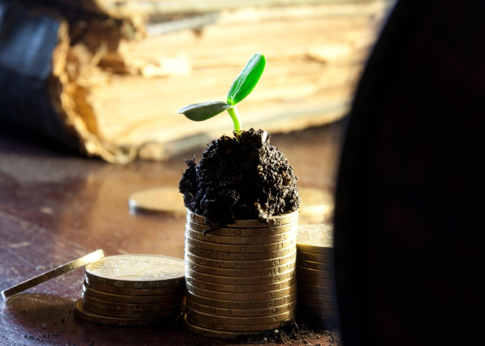 实操教程“决战十三水开挂透视软件”(果然有挂)-知乎 实操教程“决战十三水开挂透视软件”(果然有挂)-知乎