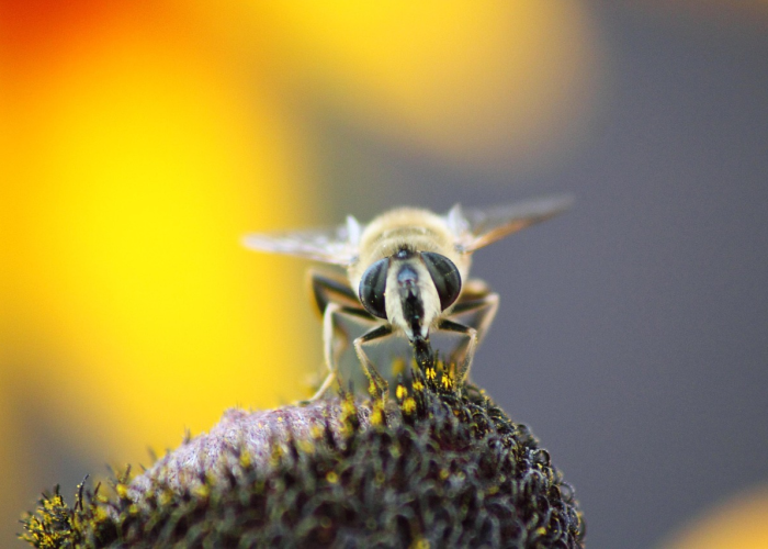 今日重大消息“丫丫诗词透视开挂功能”(原来确实有挂)-知乎 今日重大消息“丫丫诗词透视开挂功能”(原来确实有挂)-知乎