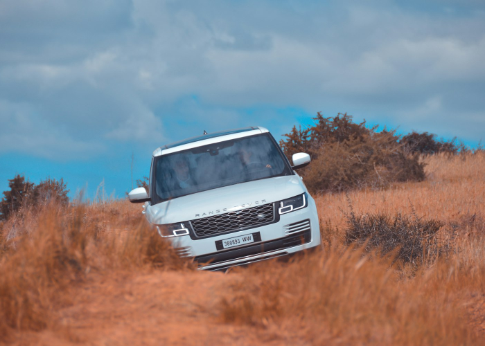 独家发现“新红豆娱乐到底有没有开挂”(真实可以装挂)-知乎