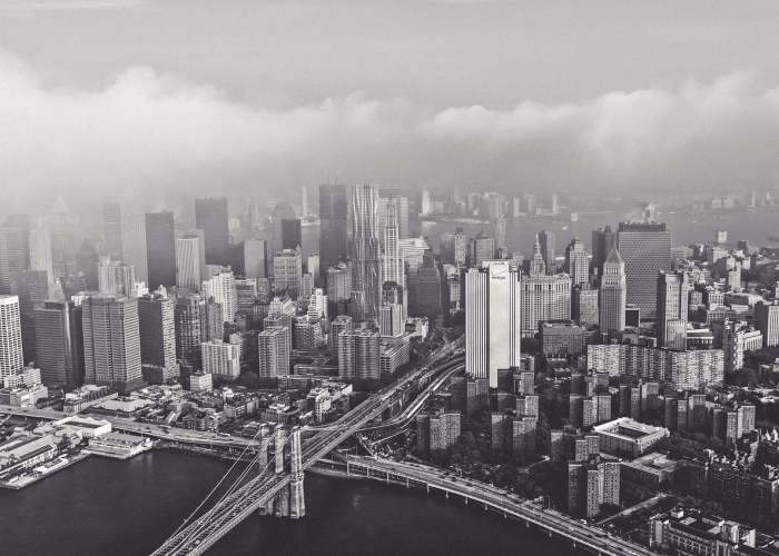 新疆工商局网，数字化服务新引擎，助力市场主体高质量发展