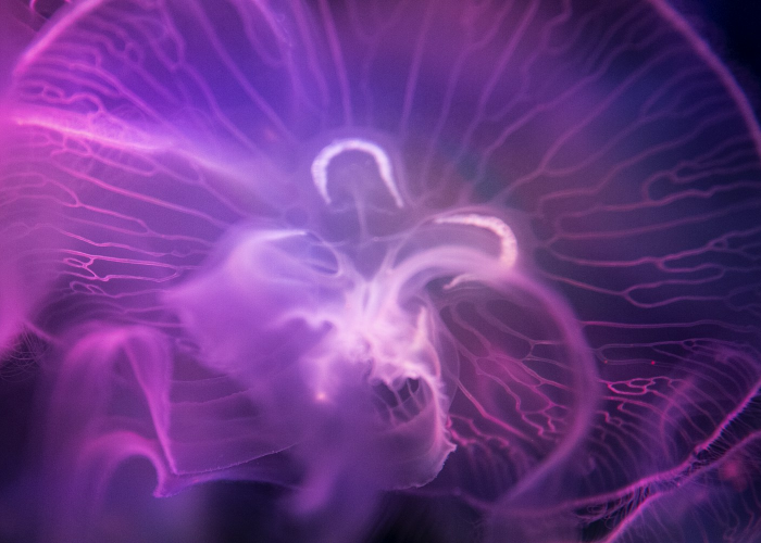 珠海万科城房价,横琴红利下的价值跃迁与理性审视 珠海万科城房价,横琴红利下的价值跃迁与理性审视