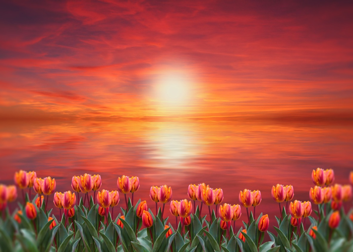 玩家实测“全民比鸡有没有透视开挂”(其实确实有挂)-知乎 玩家实测“全民比鸡有没有透视开挂”(其实确实有挂)-知乎