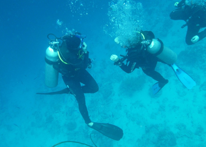 玩家实测“全民比鸡有没有透视开挂”(其实确实有挂)-知乎 玩家实测“全民比鸡有没有透视开挂”(其实确实有挂)-知乎