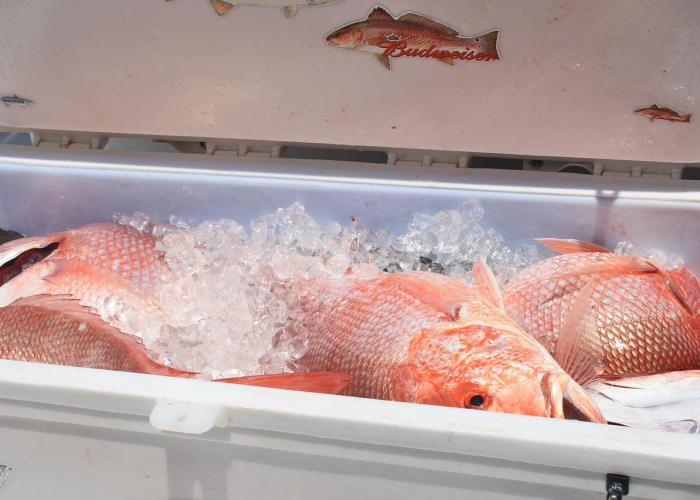 最新引进“多乐跑胡子有没有辅助挂”(开挂提高胜率)-知乎 最新引进“多乐跑胡子有没有辅助挂”(开挂提高胜率)-知乎