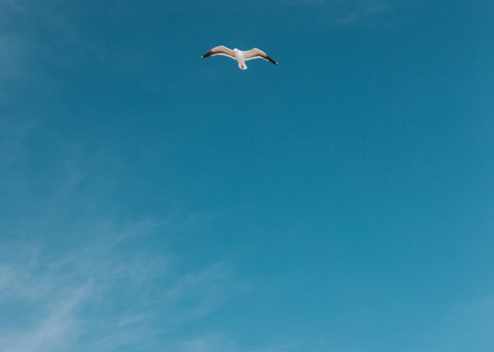我来告诉大家新蜜瓜究竟有没有开挂”(辅助开挂教程)-知乎