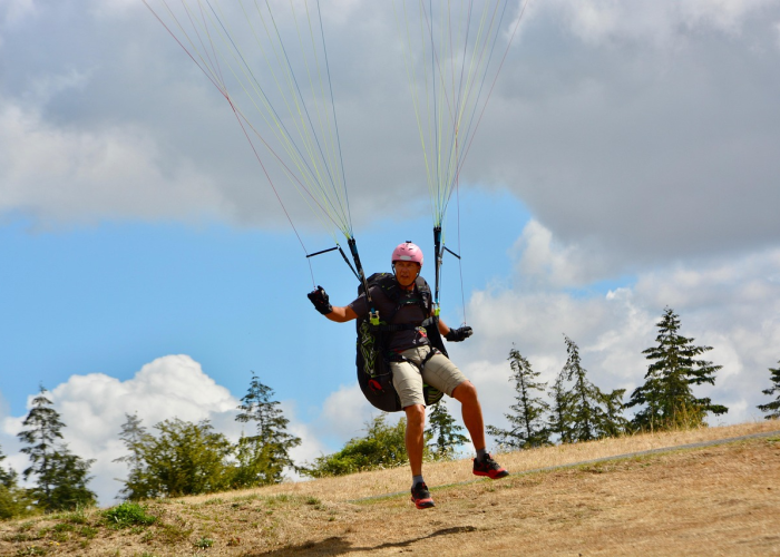 实测普及“浙衢麻将如何开挂”(开挂透视教程)-知乎