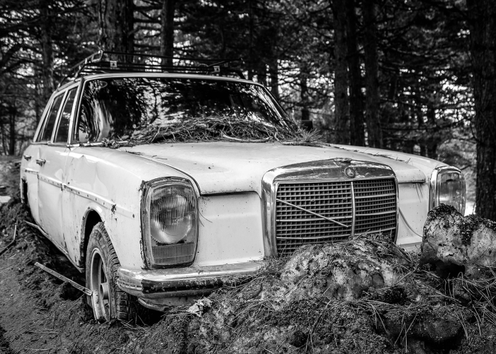 河北容城旅游景点大全，探寻未来之城的古今交融之美