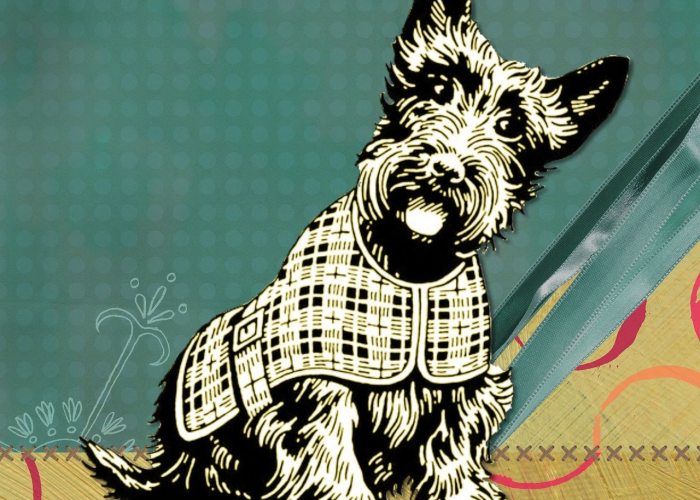 玩家分享攻略“皮皮衡阳字牌真的有开挂软件”(详细开挂教程)-知乎 玩家分享攻略“皮皮衡阳字牌真的有开挂软件”(详细开挂教程)-知乎