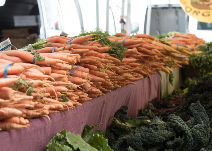 玩家必看科普“微乐陕西三代开挂透视有吗”(果然有挂)-知乎 玩家必看科普“微乐陕西三代开挂透视有吗”(果然有挂)-知乎