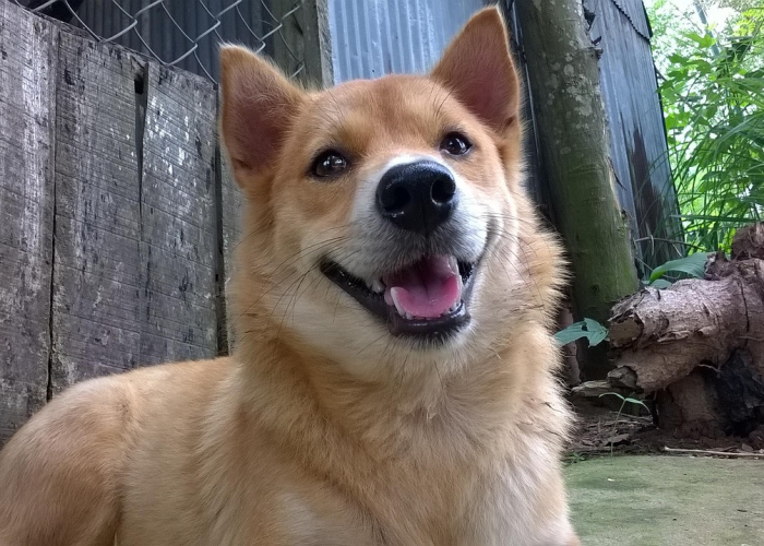 【重大消息】“运徕真的有透视挂”(果然有挂)-知乎 【重大消息】“运徕真的有透视挂”(果然有挂)-知乎