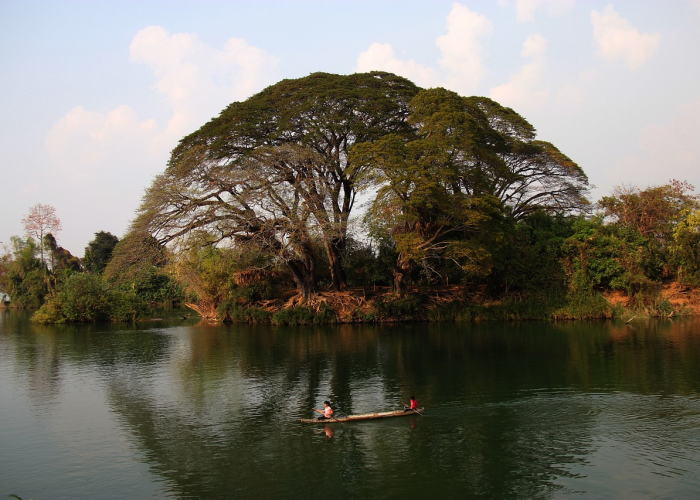 南京发现17例新冠,平静水面下的涟漪与城市韧性 南京发现17例新冠,平静水面下的涟漪与城市韧性